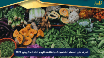 تعرف على أسعار الخضروات والفاكهة اليوم الثلاثاء 3 يونيو 2025